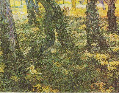 Unterholz mit Efeu von Vincent van Gogh